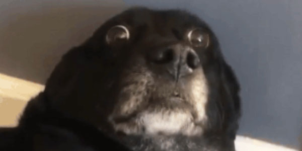 Quand quelqu'un demande où sont passés tous les users de prod après mon delete sur la table des users en recette