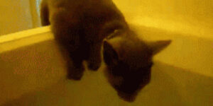 Quand j'ouvre le code du projet que je vais devoir maintenir