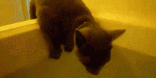 Quand j'ouvre le code du projet que je vais devoir maintenir