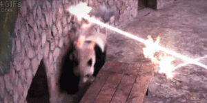 Quand je passe une tête en réunion où ça parle nouvelles fonctionnalités