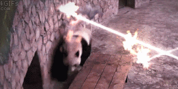 Quand je passe une tête en réunion où ça parle nouvelles fonctionnalités