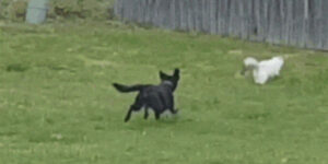 Quand un client mécontent me saute dessus le lundi matin