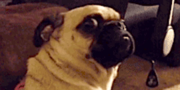 Quand le chef me désigne d'office pour un déplacement chez le client