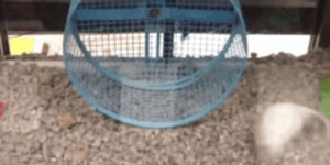 Quand on livre une nouvelle fonctionnalité aux utilisateurs sans leur donner de doc