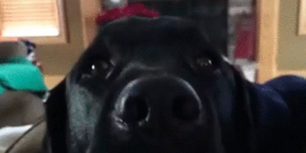 Quand on me présente tous les nouveaux projets sur lesquels je vais devoir travailler