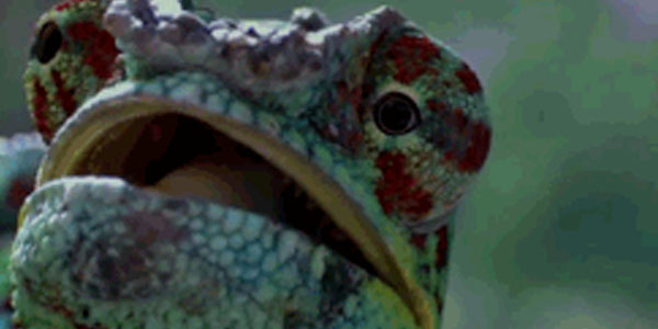 Quand on me demande mon avis sur un bout de code et que j'y pige rien