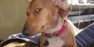 Quand je dis au lead dev que j'ai absolument tout testé dans mon code