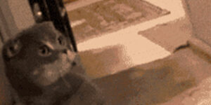 Quand je me rends compte que mon bug vient d'un bout de code que je soupçonnais absolument pas