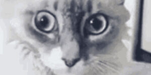 Quand je réalise que je me suis trompé d'environnement pour ma mise à jour de BDD