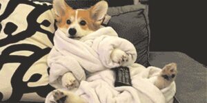 Quand je suis en arrêt maladie et que je pense à mes collègues en plein rush