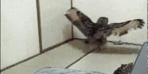 Quand je suis sûr de ma requête mais qu'elle ne me retourne rien