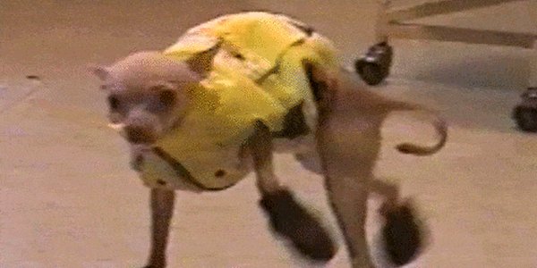 Quand je suis dev back-end et qu'on me demande de faire un peu de front