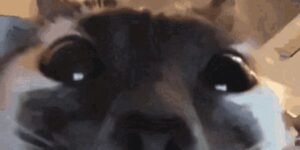 Quand je rejoins le daily depuis mon smartphone et que j'active ma caméra