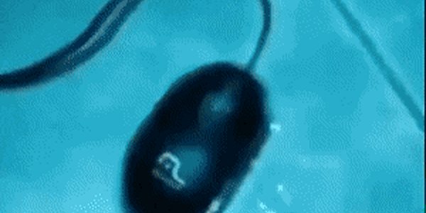 Quand je fusionne deux bouts de code trouvés en ligne