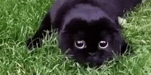 Quand je vois les collègues se lever pour aller prendre un café