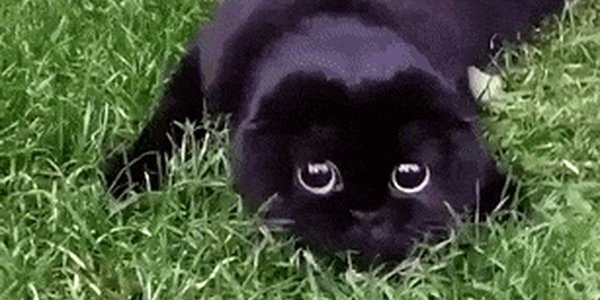 Quand je vois les collègues se lever pour aller prendre un café