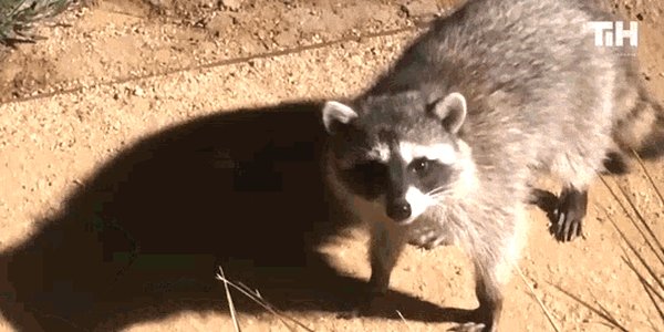 Quand le sysadmin nous a grillés sur la prod