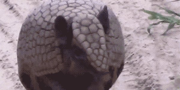 Quand le chef cherche un volontaire pour traiter un bug bloquant en urgence