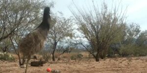 Quand le commercial demande dans l'open space si quelqu'un peut le rejoindre pour une réunion client