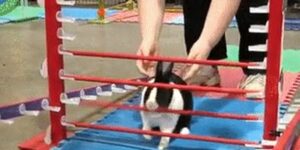 Quand je contourne un bug