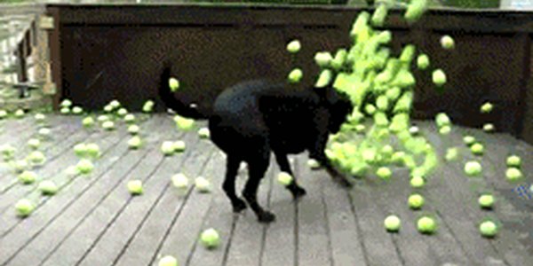 Quand je jette un oeil aux dépendances du projet que je viens de récupérer