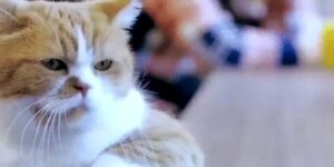 Quand je m'installe à mon bureau le lundi matin