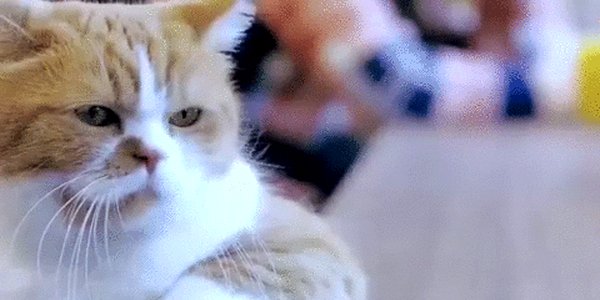 Quand je m'installe à mon bureau le lundi matin