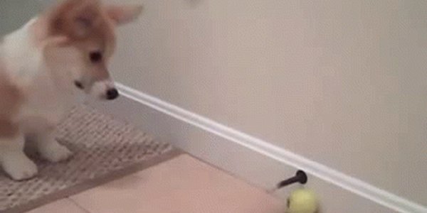 Quand j'essaie d'implémenter une API qui n'a aucune doc