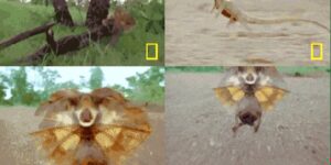 Quand un incident de prod survient et que je vais chercher tout le reste de l'équipe qui est en réunion