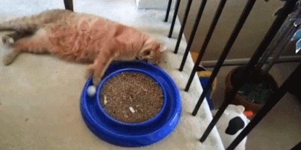 Quand j'exécute le même script plusieurs fois de suite en espérant qu'il finira par fonctionner correctement