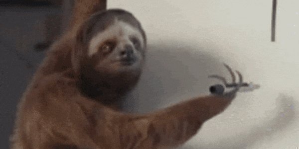 Quand notre intégrateur un peu fainéant sur les bords nous montre son idée de design minimaliste pour le site