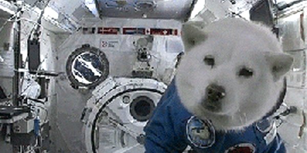 Quand on me demande de corriger un bug sur un projet auquel je n'ai jamais touché