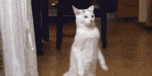 Quand je vais chercher le stylo que j'ai oublié en salle de réunion pendant une réunion