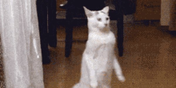 Quand je vais chercher le stylo que j'ai oublié en salle de réunion pendant une réunion