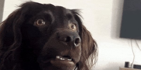 Quand je code depuis des heures et que je réalise que je suis sur la mauvaise branche