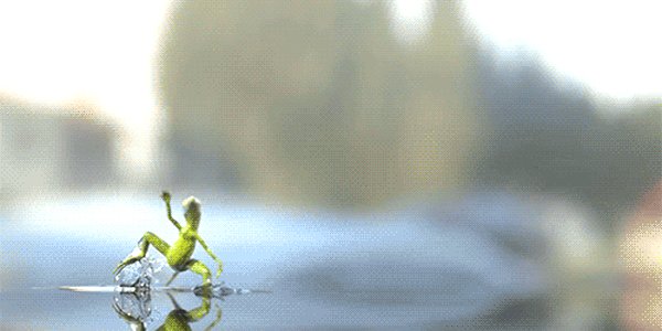 Quand mon départ en vacances me fait éviter la livraison d'un projet critique