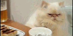 Quand je capte qu'une nouvelle personne s'est installée dans l'open space