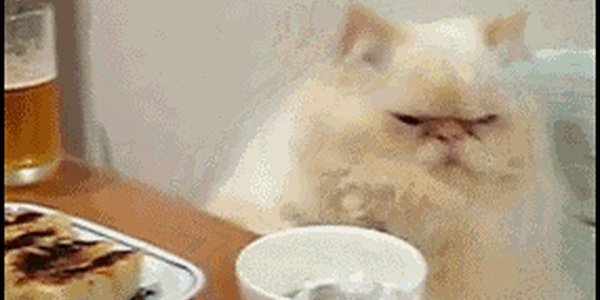 Quand je capte qu'une nouvelle personne s'est installée dans l'open space