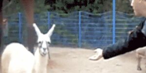 Quand un collègue me demande un coup de main sur un debug en fin de journée