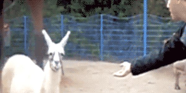 Quand un collègue me demande un coup de main sur un debug en fin de journée