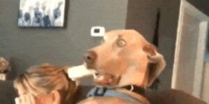 Quand je me rends compte que mon test vient en fait de supprimer définitivement des données de prod