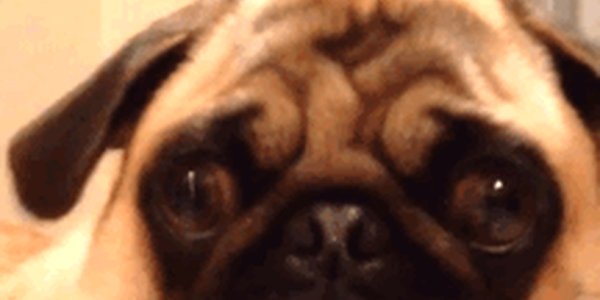 Quand le chef passe dans l'open space et jette un oeil à ce que je suis en train de faire