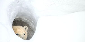 Ah super ça m'avait manqué