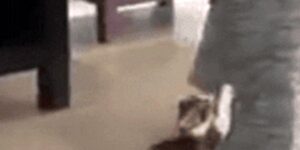 Quand le lead dev part en congés et que j'ai encore besoin de précisions de sa part