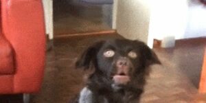 Quand tous les tests passent au rouge après mon commit