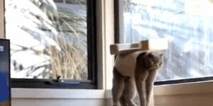 Quand j'utilise pas la bonne bibliothèque pour mon projet