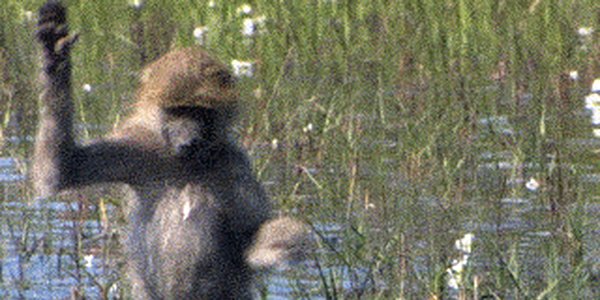 Quand je suis en retard à la réunion plénière et que je cherche une place avant le discours du PDG