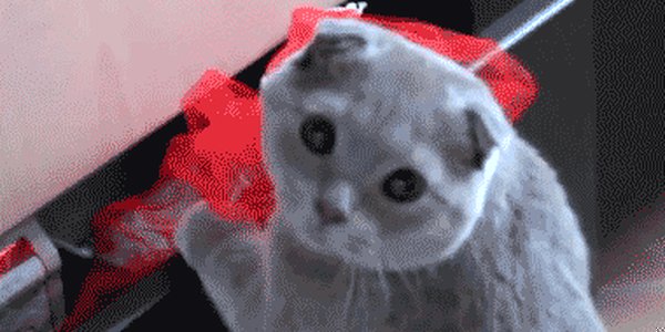 Quand le chef me voit en pause alors que je suis censé corriger un bug bloquant