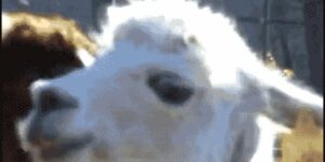 Quand le binôme me dit qu'il a modifié 2-3 trucs dans mon code