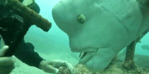 Quand j'essaie d'avancer sur mon code et que le stagiaire veut suivre ce que je fais